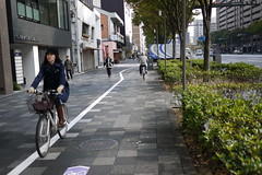 Oike Bike Lane Kyoto