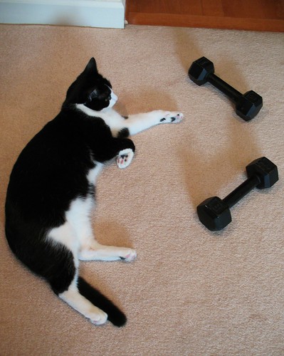 Oliver After Weight Training