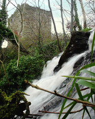 Fairlie Glen Waterfalls