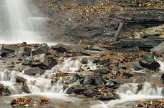 Fall 2010 Hike,  Dundas Valley 