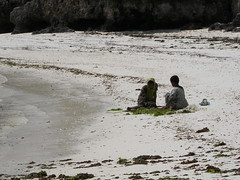 -Day 11 Nungwi - Children fishing algae