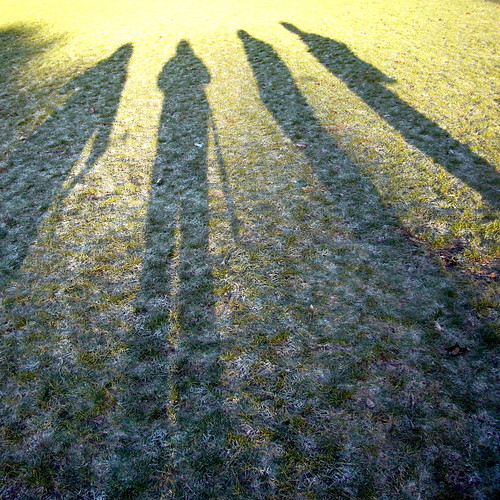 Shadows on Frost