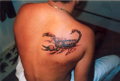 scorpion Tattoo by The Tattoo Studio