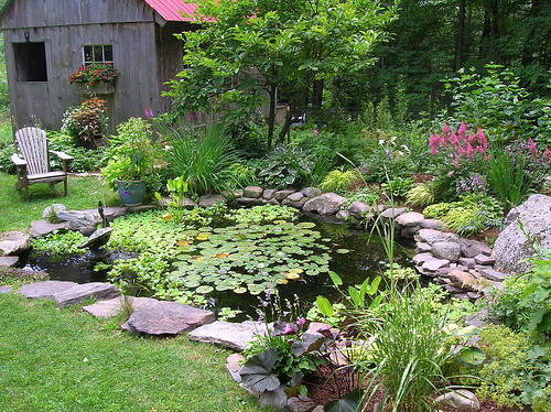 Backyard Garden