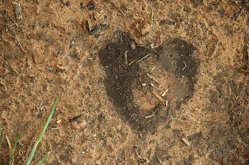 Heart of Mud.