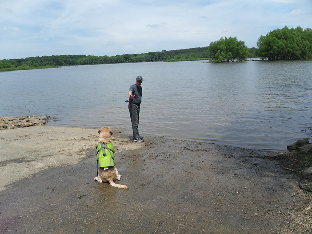 Dogs love Virginia State Parks