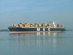 MSC Container Ships