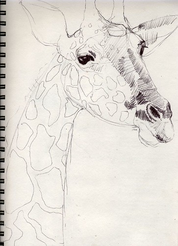 Sketchbook: Funky Giraffe