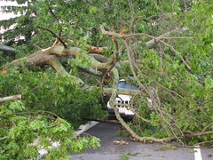 Atco Storm Damage 6-24-2010