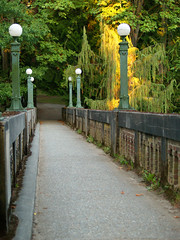 Seattle's Washington Park Arboretum