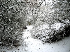 SNOW 2007