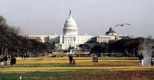 The Capitol Building, Washington D.C., USA