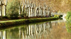 Lumières et reflets d'automne sur le Canal du Midi