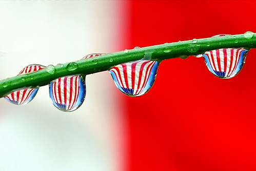 drops of stars and stripes