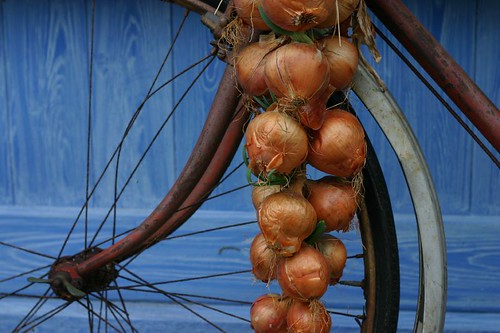 The famous 'pink onions' of Roscoff, which is the starting point for EuroVelo 4. Photo: Felix