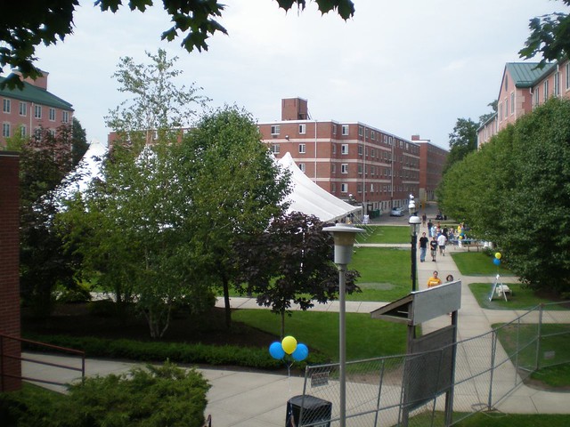 UNIVERSITY OF NEW HAVEN NEW HAVEN