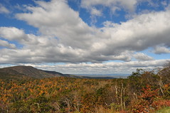 Shenandoah National Park Among Fall Colors - October 2010
