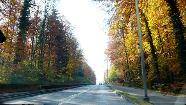 Road to Feldbrunnen