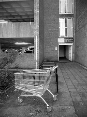 Shopping Trollies on Holidays