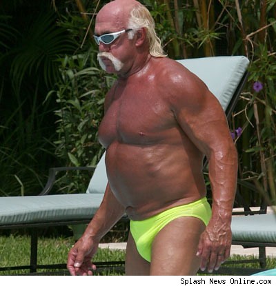 Hulk Hogan Is Gay 2