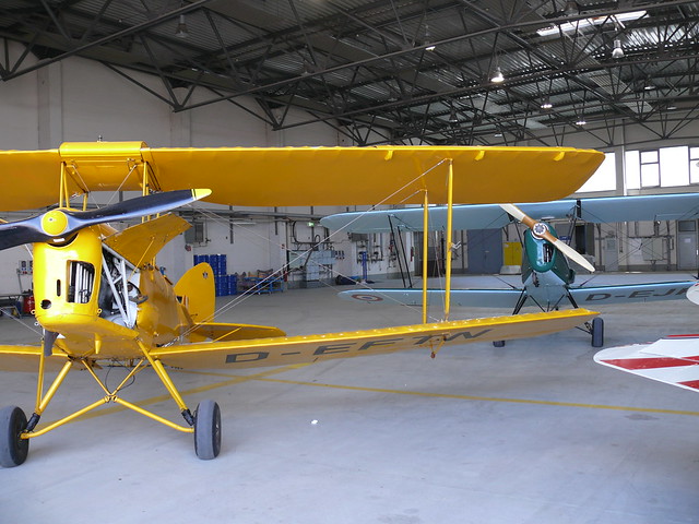de Havilland Tiger Moth's