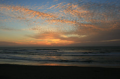 November 18 Ocean Beach