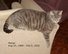 Margo Memorial, February 2005
