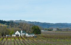 California Wineries Sonoma