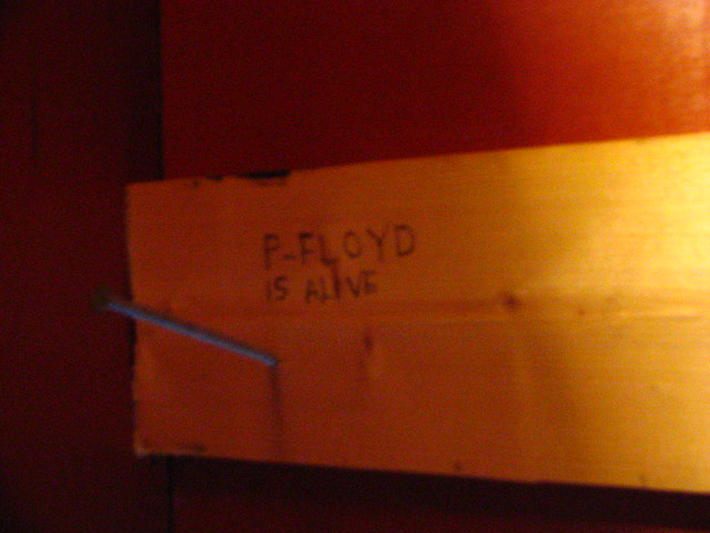 bathroom graffiti PFloyd really in the stall Indeed They were alive