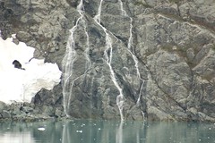 2007 Alaska Cruise -- Glacier Bay