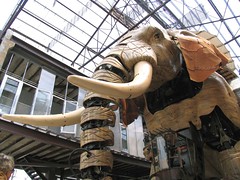 Le hangar de l'éléphant