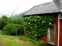 Borgund og Lærdal i Sogn