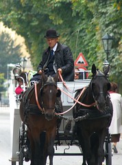 Vienna -- 2010