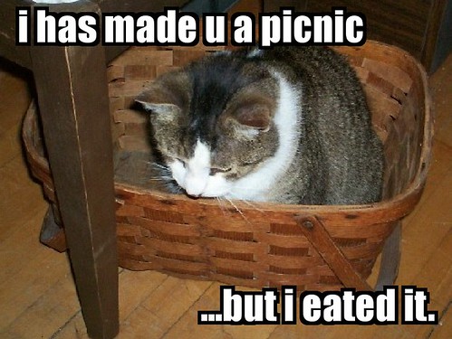 i has made u a picnic