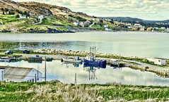 Ferryland, Newfoundland