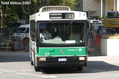 TransPerth Buses