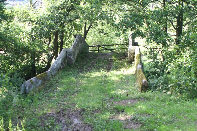 Ancient Bridge Westerdale