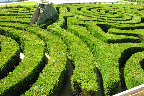 Longleat Hedge Maze