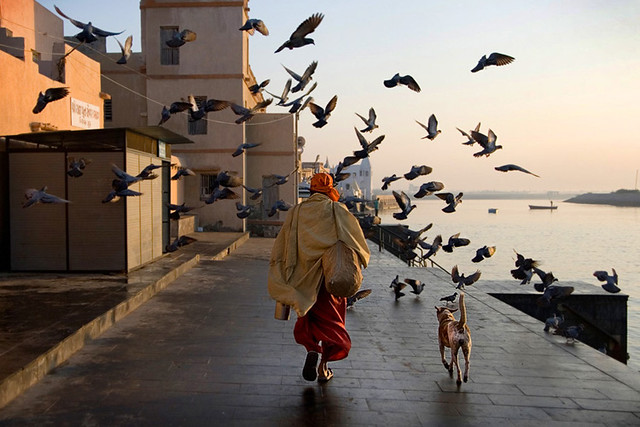 Sadhu and Dog - The Decisive Moment in Street Photography