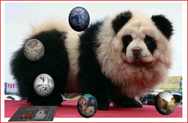 Www Kung Fu Panda Games Com
