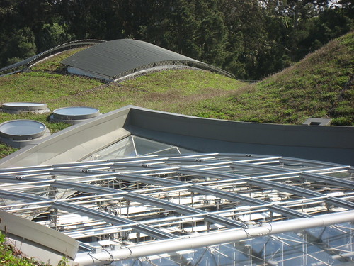 Green Roof and Skylight at the Cal Academy