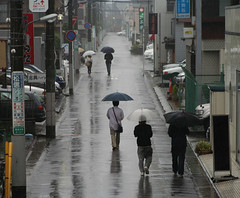 rain/umbrellas