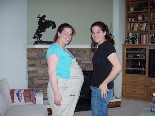 The twins weeks before delivery