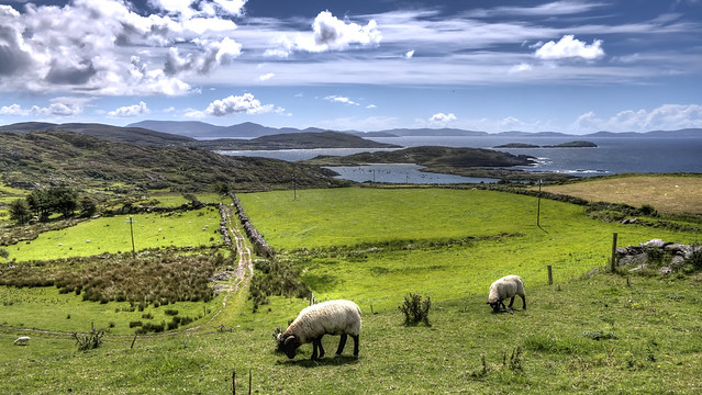 Irlanda traveldreams2014