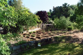 2007 Garden 035