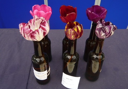 Tulip display