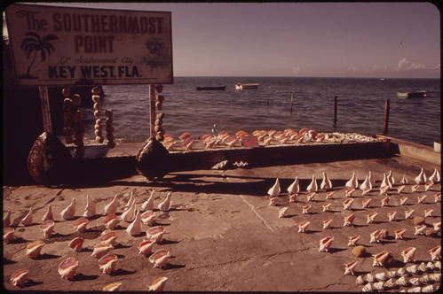 Souvenir Seashells for Sale at the Southernmost Point of the United States.