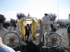 Sami and Melanie's Wedding (November 6, 2010)