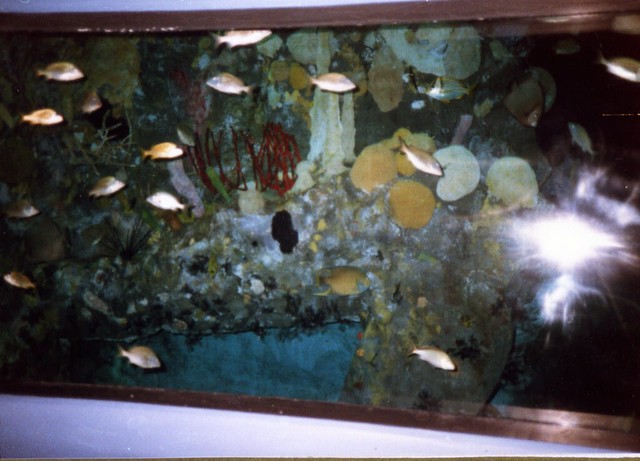 more fishies, aug '86