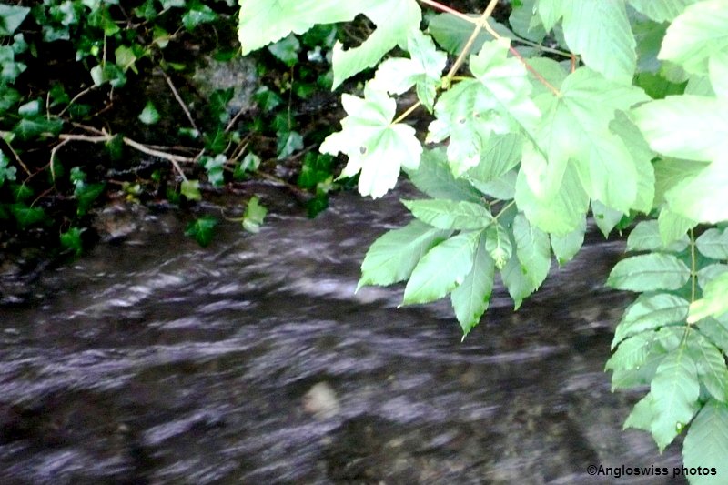 Small stream on the borders of Feldbrunnen-Solothurn